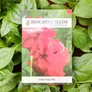 This is an image of a packet of Biocarve Indian Poppy Mix Seeds kept against a green leafy background.