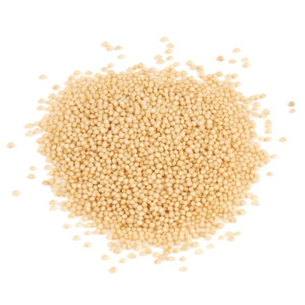 Several small round cream white coloured amaranth seeds are kept together against a white background