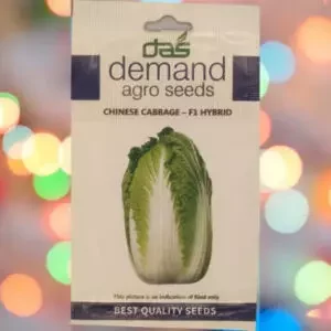 A packet of demand agro Chinese cabbage F1 hybrid seeds kept against a colourful light background