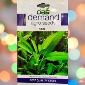 The backside of a packet of Demand Agro Sage Seeds with details about the seeds kept against a colorful light background