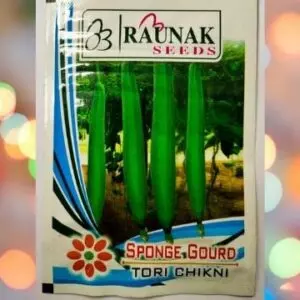 A packet of Raunak Seeds Sponge Gourd Tori Chikni Seeds kept against a colourful light background