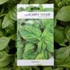 A white packet of Biocarve Basil Green seeds kept against a green leafy background