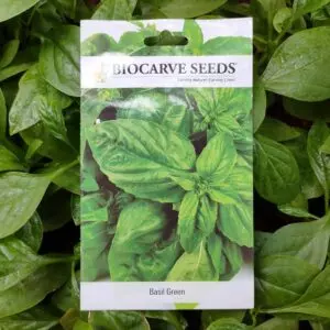 A white packet of Biocarve Basil Green seeds kept against a green leafy background