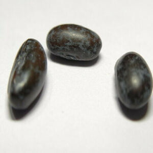 This is an image of a few large oblong jet black beans seeds kept against a white background.