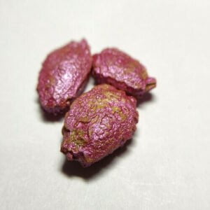 This image is of three purple-brown colored seeds of bitter gourd plants that are kept together against white background.