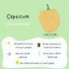 A bright green and white poster on how to grow and take care of a healthy yellow capsicum plant