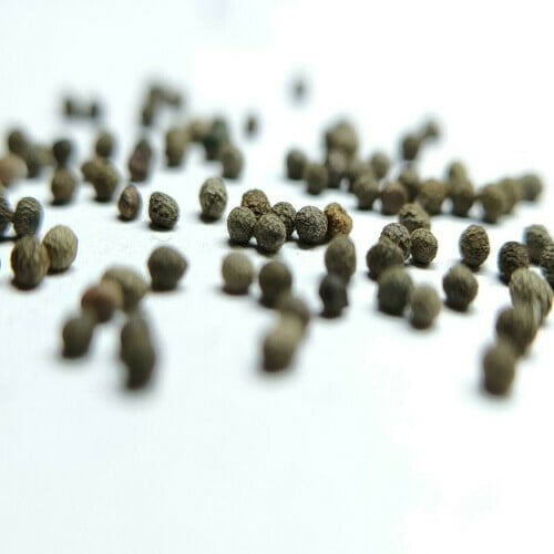 Clarkia Double Mix Seeds (30 seeds)
