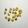 This is an image of several bright yellow seeds of ghost pepper kept against white color background.