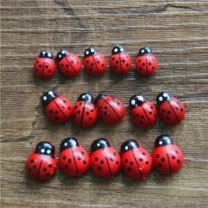 A bunch of cute Ladybug on wooden floor.