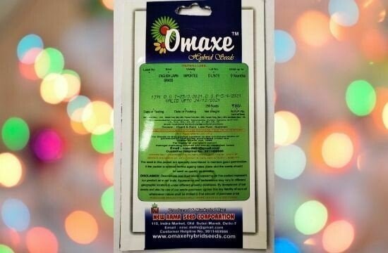 Omaxe Imported English Lawn Grass