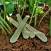 Plant Tag Ice Cream Sticks kept on soil between stem of herbs