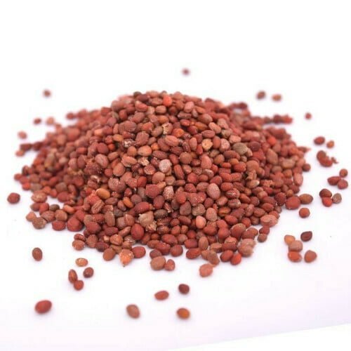 Several small round reddish-brown radish seeds kept against a white background