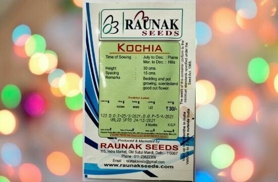 A packet of Raunak Seeds Kochia Mixed Seeds in a colorful background