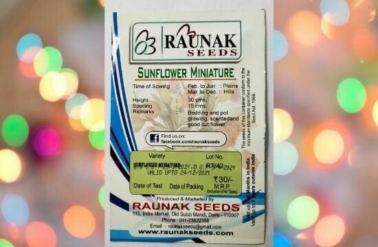 A packet of Raunak Seeds Sunflower in a colorful background
