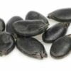 Several large, oval, black seeds of ridge gourd are kept together against a white background