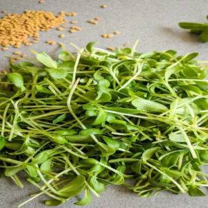 This is an image of several Microgreen Fenugreek leaves and stems bunched together on a grey rug with Fenugreek seeds scattered.