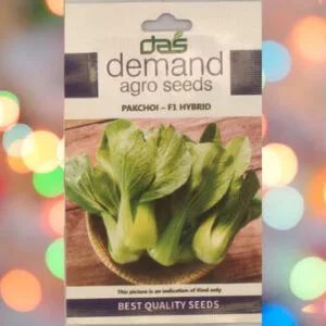 A packet of Demand Agro Pakchoi F1 Hybrid Seeds kept against a colourful light background