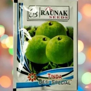 A packet of Raunak seeds Tinda Desi special seeds kept against a colourful light background