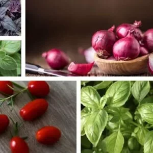 This is an image of a collage of five images containing red cherry tomatoes, onions, basil green & black leaves, and oregano leaves - seeds pack.