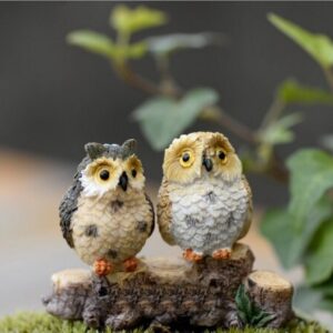 A cute and colorful pair of Miniature Owls on an artificial grass.