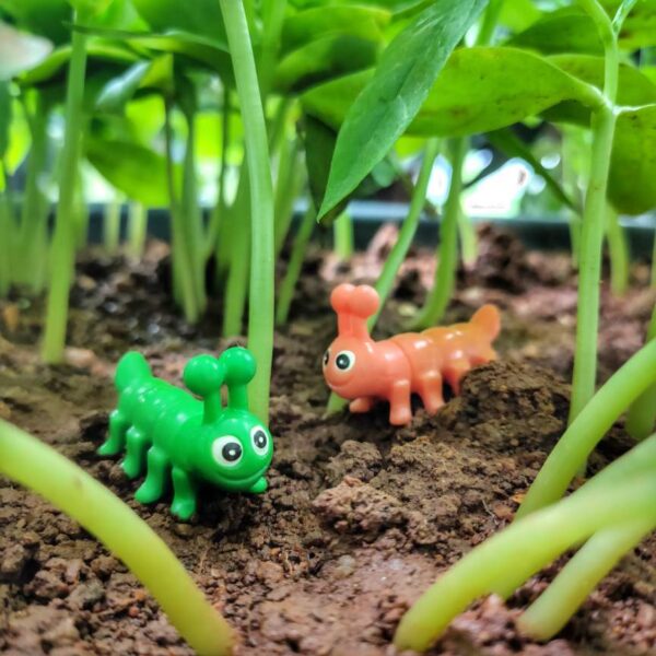 A cute and colorful Miniature Caterpillar on a soil with some herbs in the background.