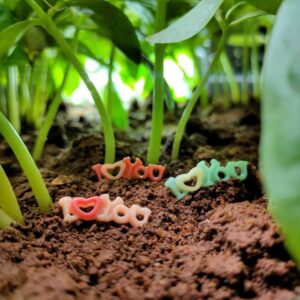 Lovely colorful Miniature I Love You Toys on a soil with some herbs in the background.