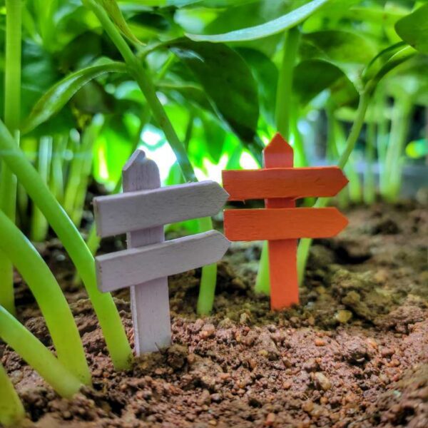 A cute colorful pair of Miniature Wooden Post on a soil with some herbs in the background.