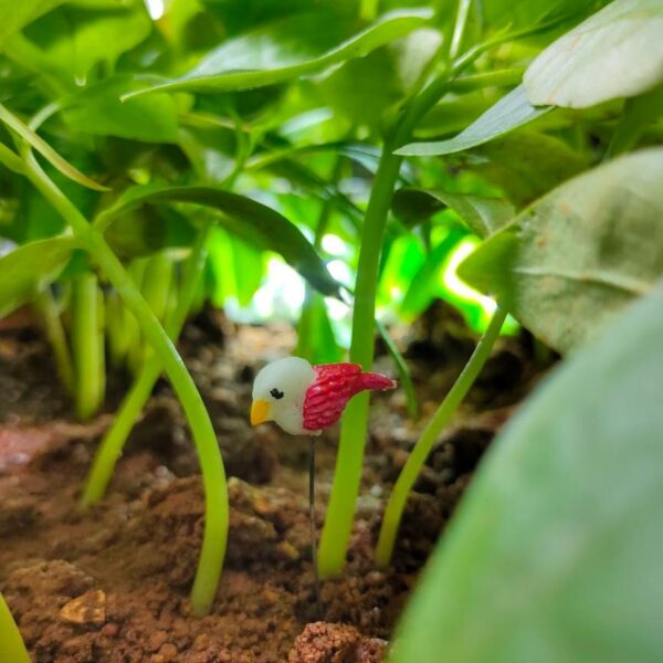 A cute Miniature Pin Bird tucked in soil with some herbs in the background.