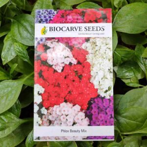 A packet of Biocarve Phlox Beauty Mix Seeds kept against a green leafy background