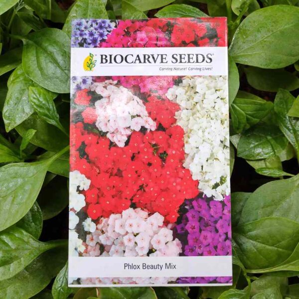 Biocarve Phlox Beauty Mix Seeds Packet Front Side Pic