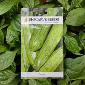 This is an image of a packet of Biocarve Zucchini Seeds kept against a green leafy background.