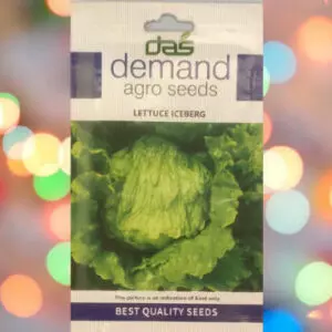 Demand Agro Lettuce Iceberg