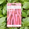 This is an image of a packet of Biocarve Carrot Red Long Seeds kept against a green leafy background.