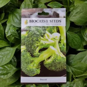 A packet of Biocarve Broccoli Seeds kept against a green leafy background