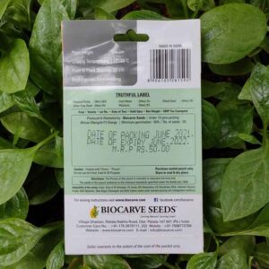 Backside picture of Biocarve African Marigold F2 Orange Seeds packet with leaves in background