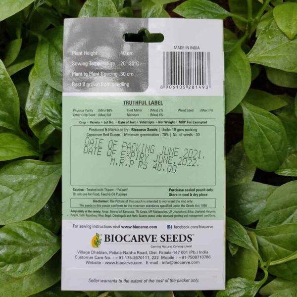 Backside picture of Biocarve Capsicum Red Queen Seeds packet with leaves in background