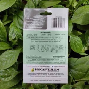 The backside of a packet of Biocarve Cherry Tomato seeds with details about the seeds kept against a bright green leafy background