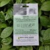 Backside Picture of Biocarve Gaillardia Aristata Tokajer Seeds packet with leaves in background