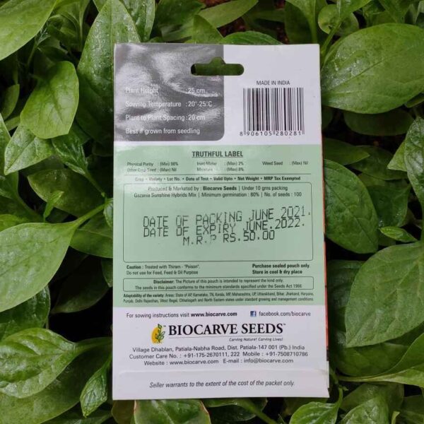 Backside picture of Biocarve Gazania Sunshine Hybrid Mix Seeds packet with leaves in background