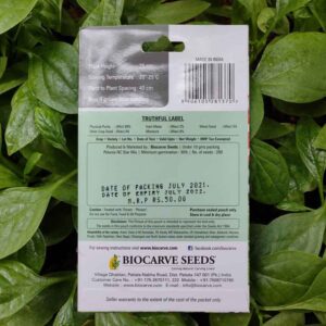 Backside picture of Biocarve Petunia NC Star Mix Seeds packet with leaves in background