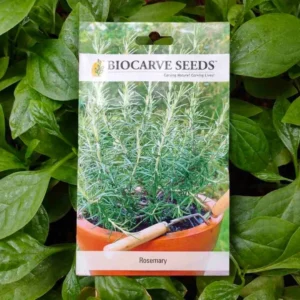 This is an image of a packet of Biocarve Rosemary Seeds with green leaves in background.