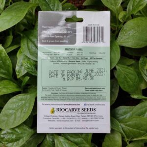 Backside picture of Biocarve Zucchini Seeds packet with leaves in background