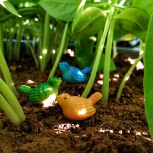 A cute and colorful Miniature Birds on a soil with some herbs stem in the background.