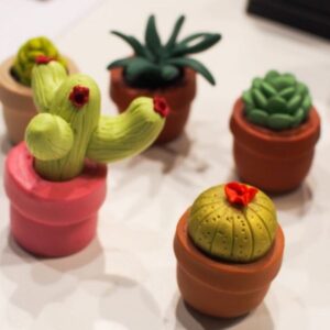 Small and cute different variety of Miniature Cactus Assorted on a white surface.