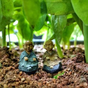 A cute and different posture Miniature Chinese Feng Shui Monks on soil with some herbs in the background.