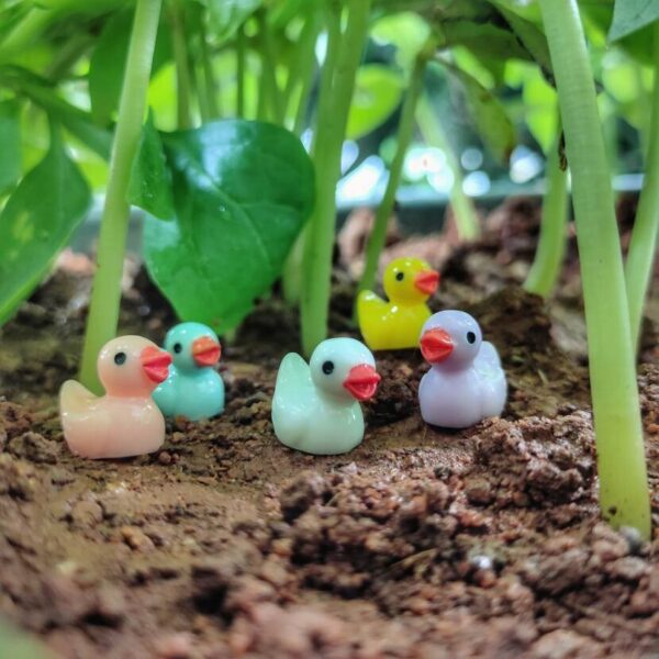 Small and cute multicolor Miniature ducks on a soil with some herbs in the background.