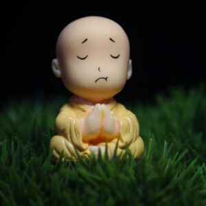 A Miniature Monk Assorted with cute expressions kept on grass.
