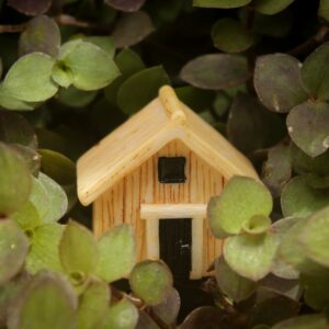 A cute and beautiful Miniature Hut is kept in between the herb plants.