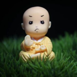 A Miniature Monk Assorted with cute expressions kept on a grass.