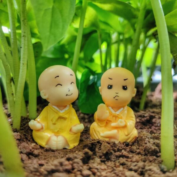 A Miniature Monks Assorted with cute expressions kept on a soil with some herbs stem in the back ground.